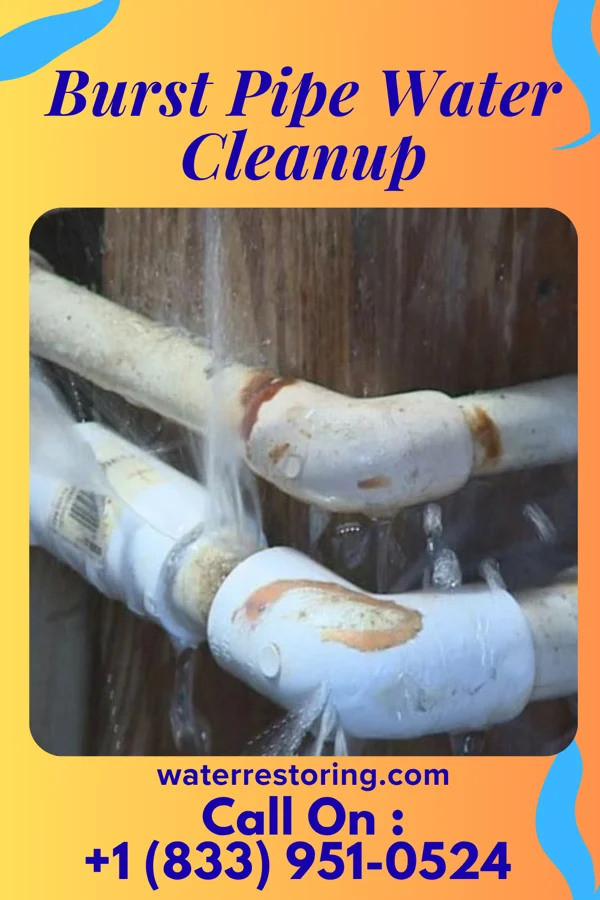 Burst Pipe Water Cleanup in Dickens, TX
