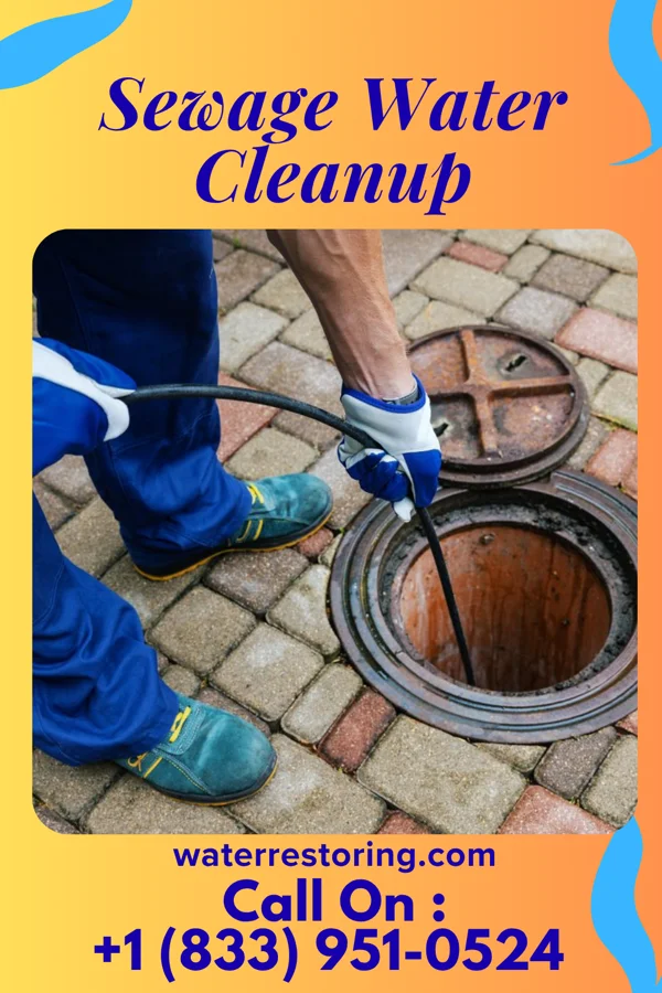 Sewage Water Cleanup in Dickens, TX